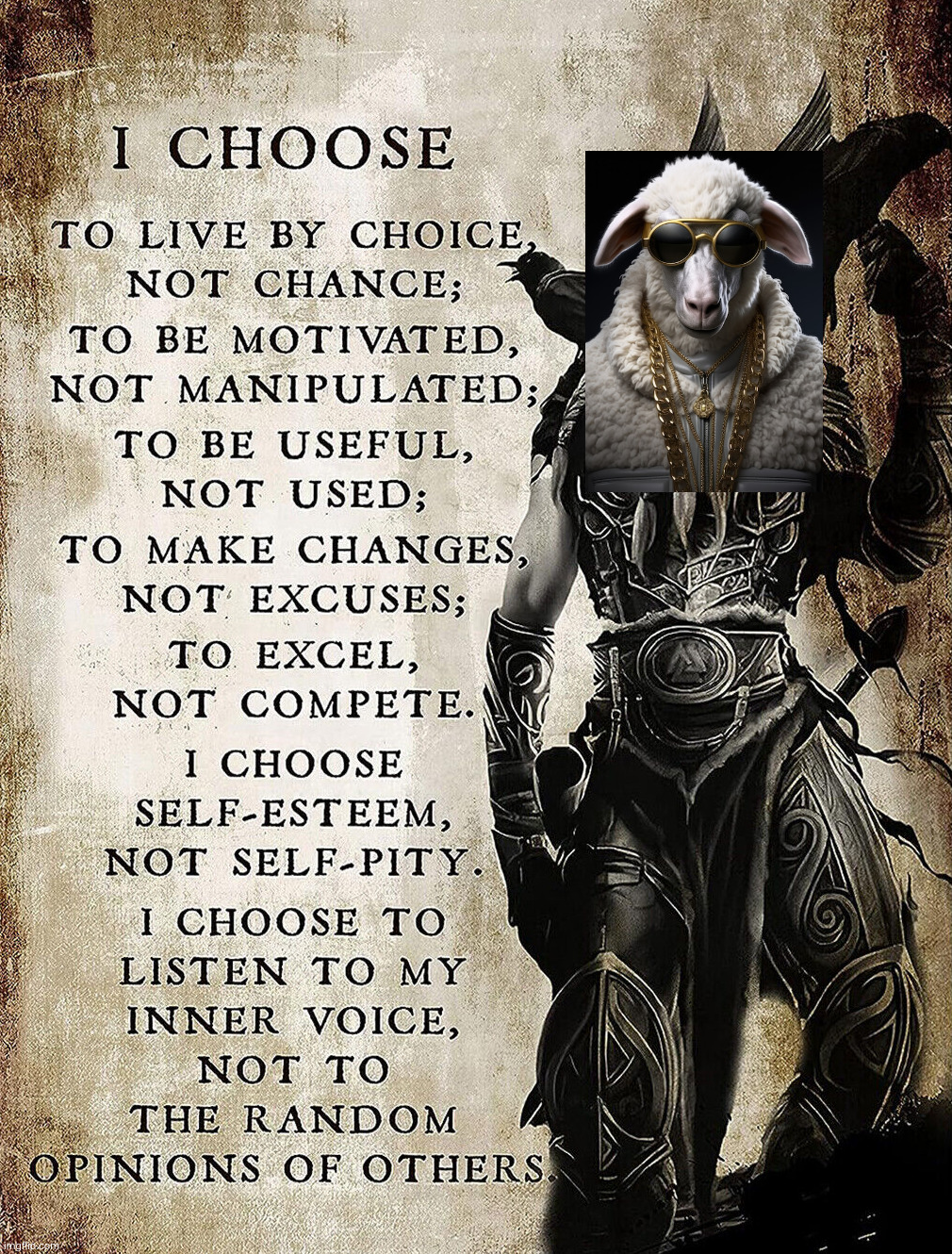 image tagged in sheep wisdom | made w/ Imgflip meme maker