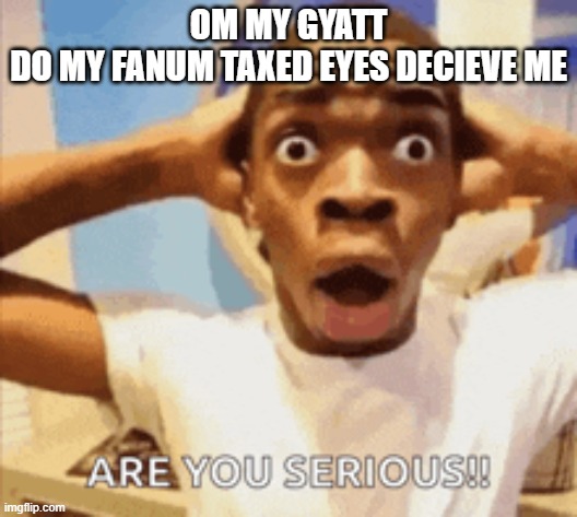 oh my gawwwwwd i just lost dawwwwwwwwwwwwwwwwwwwg | OM MY GYATT

DO MY FANUM TAXED EYES DECIEVE ME | image tagged in oh my gyatt | made w/ Imgflip meme maker