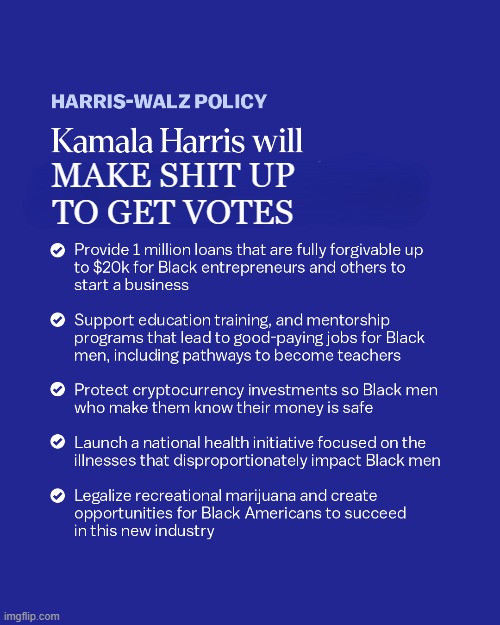 Say anything...The Blacks will buy it! | MAKE SHIT UP
TO GET VOTES | image tagged in economics,black people,maga,make america great again,trump,kamala harris | made w/ Imgflip meme maker