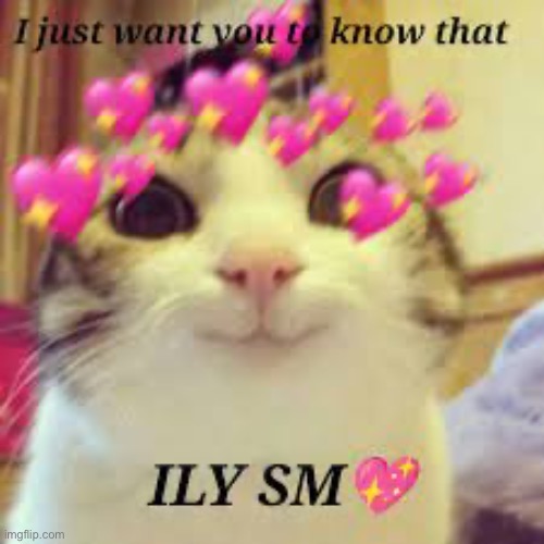 Cats <3 | made w/ Imgflip meme maker