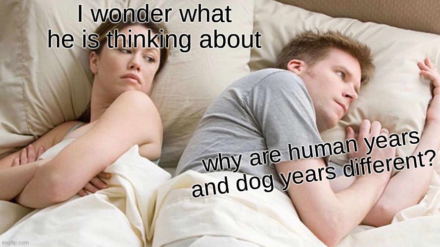 I Bet He's Thinking About Other Women Meme | I wonder what he is thinking about; why are human years and dog years different? | image tagged in memes,i bet he's thinking about other women | made w/ Imgflip meme maker