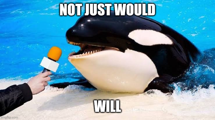 Orca talking into a microphone | NOT JUST WOULD; WILL | image tagged in orca talking into a microphone | made w/ Imgflip meme maker