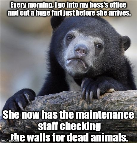 Confession Bear Meme | Every morning, I go into my boss's office and cut a huge fart just before she arrives. She now has the maintenance staff checking the walls  | image tagged in memes,confession bear | made w/ Imgflip meme maker