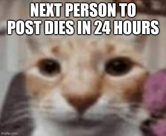 :| | NEXT PERSON TO POST DIES IN 24 HOURS | made w/ Imgflip meme maker