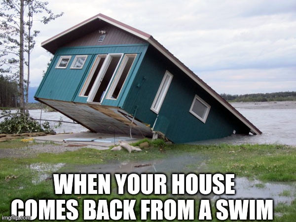 house meme | WHEN YOUR HOUSE COMES BACK FROM A SWIM | image tagged in swimming | made w/ Imgflip meme maker