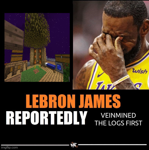 Lebron James Reportedly forgot to | VEINMINED THE LOGS FIRST | image tagged in lebron james reportedly forgot to | made w/ Imgflip meme maker