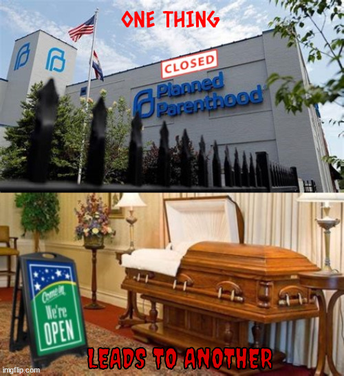 Murder mother mayhem | ONE THING; LEADS TO ANOTHER | image tagged in murder mother mayhem,coffin for dead mothers,up to the states to murder,no moms no babies,donald trump wanted her to abort it | made w/ Imgflip meme maker