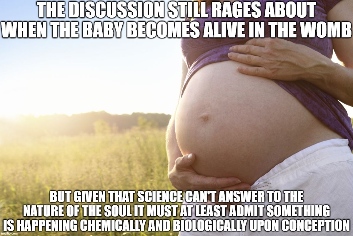 Raging Discussion About Life | THE DISCUSSION STILL RAGES ABOUT WHEN THE BABY BECOMES ALIVE IN THE WOMB; BUT GIVEN THAT SCIENCE CAN'T ANSWER TO THE NATURE OF THE SOUL IT MUST AT LEAST ADMIT SOMETHING IS HAPPENING CHEMICALLY AND BIOLOGICALLY UPON CONCEPTION | image tagged in pregnant woman,abortion,alive,science | made w/ Imgflip meme maker