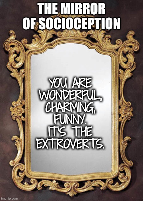 THE MIRROR OF SOCIOCEPTION YOU ARE WONDERFUL, CHARMING, FUNNY. IT'S THE EXTROVERTS. | made w/ Imgflip meme maker