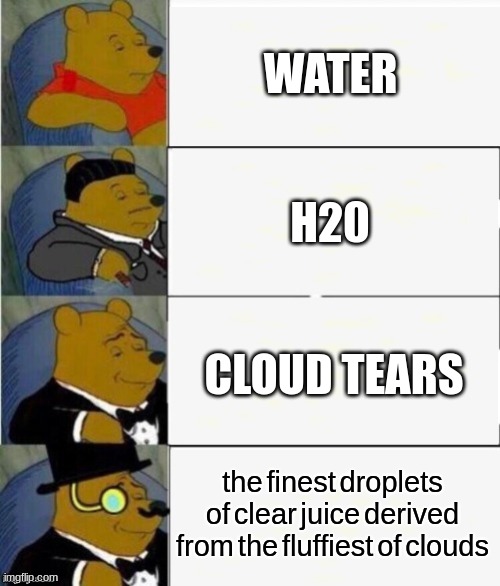 agua | WATER; H20; CLOUD TEARS; the finest droplets of clear juice derived from the fluffiest of clouds | image tagged in tuxedo winnie the pooh 4 panel | made w/ Imgflip meme maker