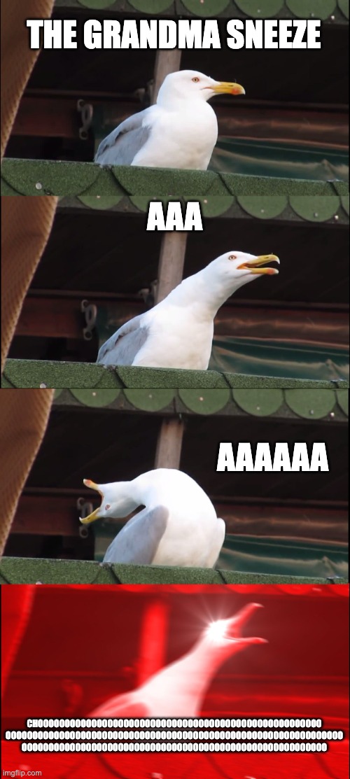 The Grandma Sneeze | THE GRANDMA SNEEZE; AAA; AAAAAA; CHOOOOOOOOOOOOOOOOOOOOOOOOOOOOOOOOOOOOOOOOOOOOOOOOOOOOO
OOOOOOOOOOOOOOOOOOOOOOOOOOOOOOOOOOOOOOOOOOOOOOOOOOOOOOOOOOOOOOO
OOOOOOOOOOOOOOOOOOOOOOOOOOOOOOOOOOOOOOOOOOOOOOOOOOOOOOOOO | image tagged in memes,inhaling seagull,sneeze | made w/ Imgflip meme maker