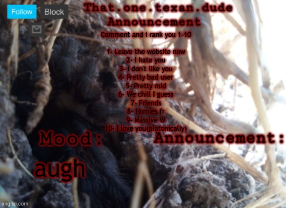 THE that.one.texan.dude announcement template | Comment and i rank you 1-10
 
1- Leave the website now
2- I hate you
3- I don't like you
4- Pretty bad user
5- Pretty mid
6- We chill I guess
7- Friends
8- Homies fr
9- Massive W
10- I love you(platonically); augh | image tagged in the that one texan dude announcement template | made w/ Imgflip meme maker