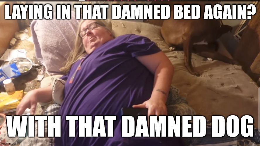 Tina Dandridge | LAYING IN THAT DAMNED BED AGAIN? WITH THAT DAMNED DOG | image tagged in meme | made w/ Imgflip meme maker