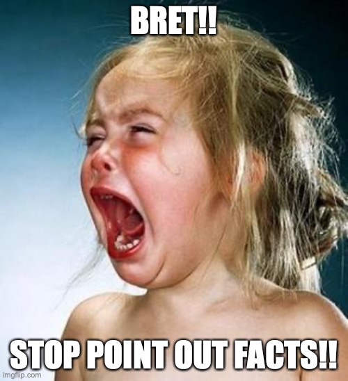 Kumalatoe | BRET!! STOP POINT OUT FACTS!! | image tagged in internet tantrum | made w/ Imgflip meme maker