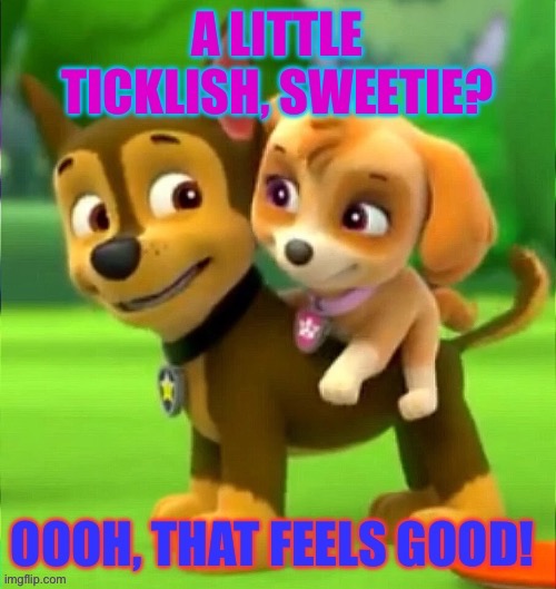 Chase and Skye piggy back ride | image tagged in paw patrol,funny dogs,innuendo,funny dog memes,laughing dog,silly | made w/ Imgflip meme maker