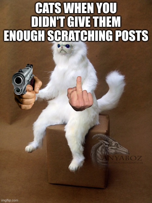 Persian Cat Room Guardian Single Meme | CATS WHEN YOU DIDN'T GIVE THEM ENOUGH SCRATCHING POSTS | image tagged in memes,persian cat room guardian single | made w/ Imgflip meme maker