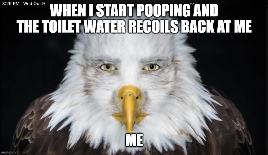 eagle stare | WHEN I START POOPING AND THE TOILET WATER RECOILS BACK AT ME; ME | image tagged in eagle stare | made w/ Imgflip meme maker