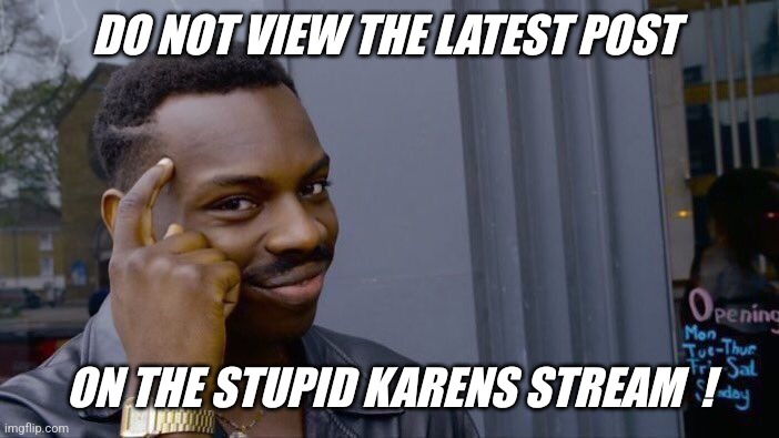 Link on this users profile... | DO NOT VIEW THE LATEST POST; ON THE STUPID KARENS STREAM  ! | image tagged in memes,roll safe think about it | made w/ Imgflip meme maker