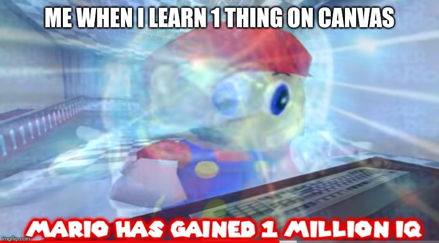 Mario has gained 1 million IQ | ME WHEN I LEARN 1 THING ON CANVAS | image tagged in mario has gained 1 million iq | made w/ Imgflip meme maker