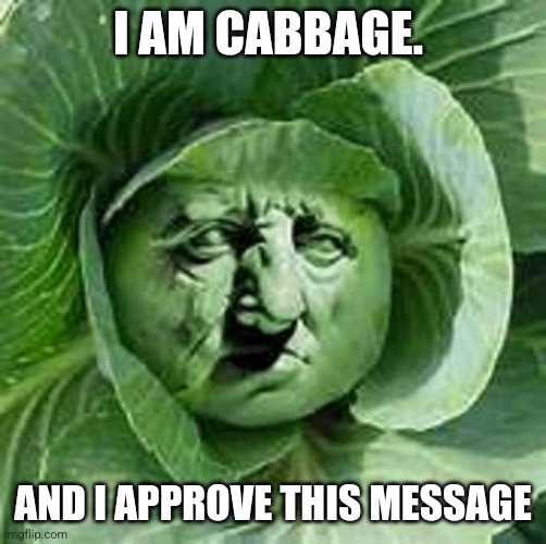 Cabbage | I AM CABBAGE. AND I APPROVE THIS MESSAGE | image tagged in cabbage | made w/ Imgflip meme maker