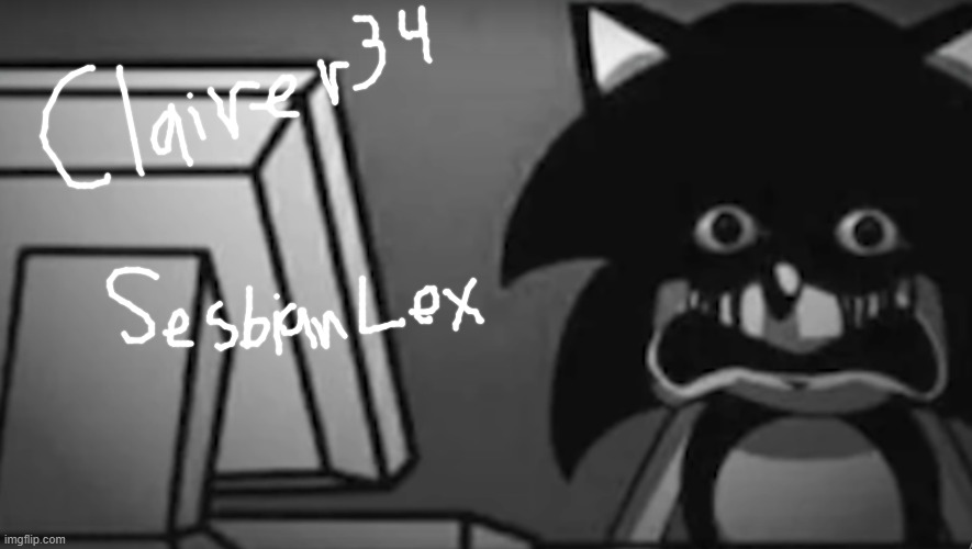 Sonic looking At Your Computer | image tagged in sonic looking at your computer | made w/ Imgflip meme maker