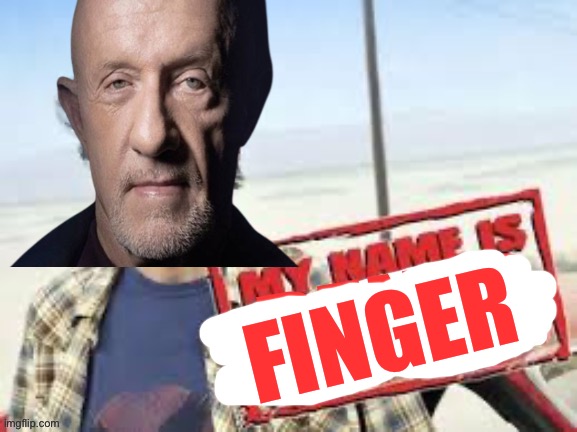 My name is penid | FINGER | image tagged in my name is penid | made w/ Imgflip meme maker