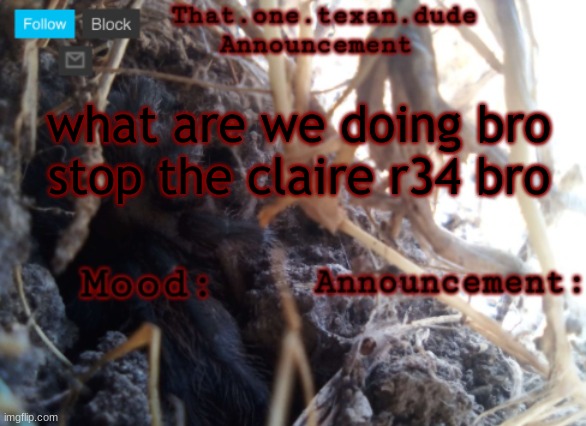 THE that.one.texan.dude announcement template | what are we doing bro
stop the claire r34 bro | image tagged in the that one texan dude announcement template | made w/ Imgflip meme maker