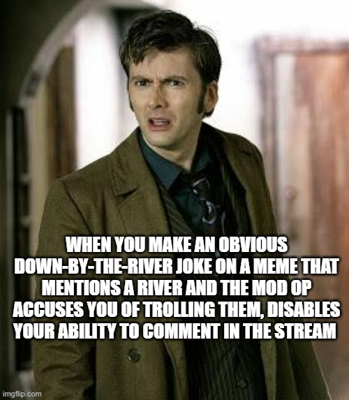 Welp, so much for reaching out... shame that; I was usually the only person to upvote their memes. | WHEN YOU MAKE AN OBVIOUS DOWN-BY-THE-RIVER JOKE ON A MEME THAT MENTIONS A RIVER AND THE MOD OP ACCUSES YOU OF TROLLING THEM, DISABLES YOUR ABILITY TO COMMENT IN THE STREAM | image tagged in doctor who is confused | made w/ Imgflip meme maker