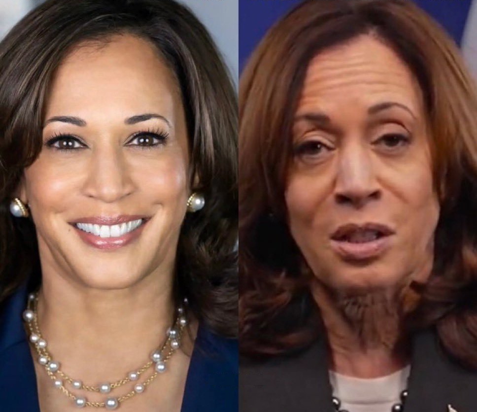 Kamala Harris before & after Blank Meme Template