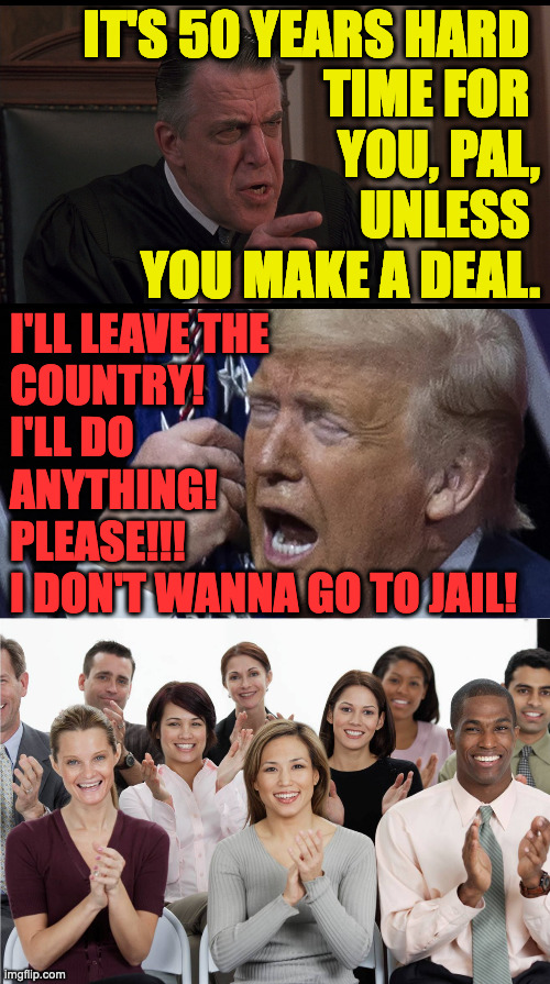 IT'S 50 YEARS HARD 
TIME FOR 
YOU, PAL,
UNLESS 
YOU MAKE A DEAL. I'LL LEAVE THE
COUNTRY!
I'LL DO 
ANYTHING!
PLEASE!!!
I DON'T WANNA GO TO JA | image tagged in my cousin vinny judge,applausi | made w/ Imgflip meme maker