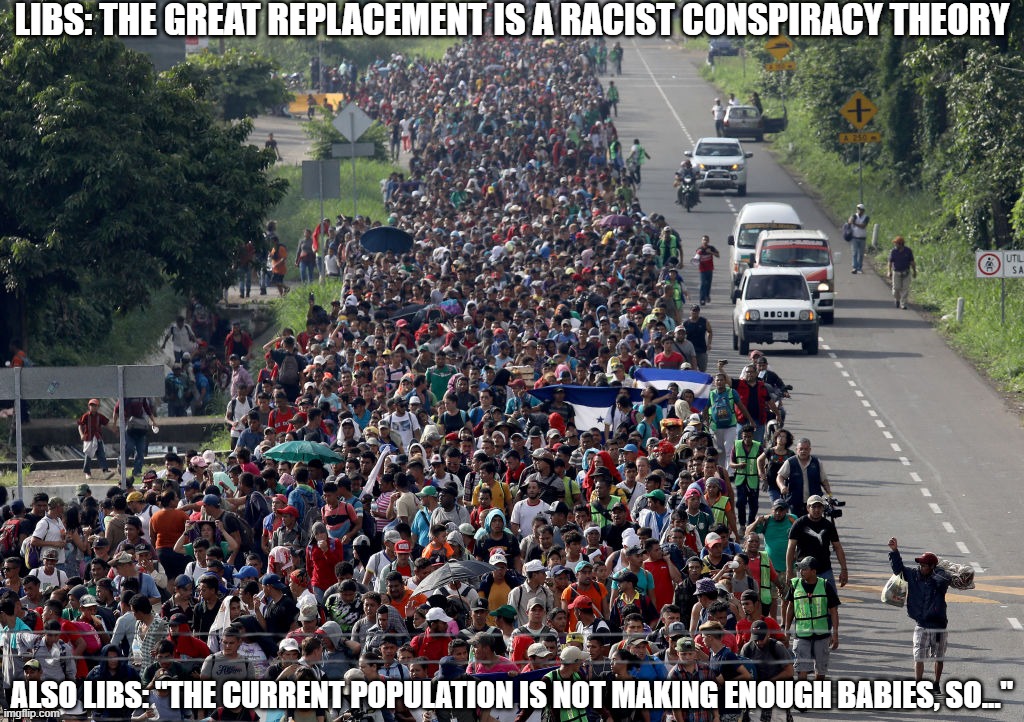 Great Replacement Theory | LIBS: THE GREAT REPLACEMENT IS A RACIST CONSPIRACY THEORY; ALSO LIBS: "THE CURRENT POPULATION IS NOT MAKING ENOUGH BABIES, SO..." | image tagged in migrant caravan,illegal aliens,porous borders | made w/ Imgflip meme maker