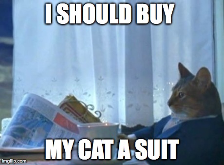 I Should Buy A Boat Cat | I SHOULD BUY  MY CAT A SUIT | image tagged in memes,i should buy a boat cat,AdviceAnimals | made w/ Imgflip meme maker