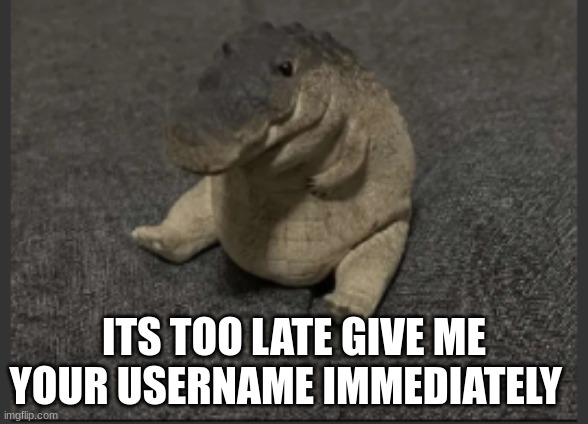 Greg | ITS TOO LATE GIVE ME YOUR USERNAME IMMEDIATELY | image tagged in greg | made w/ Imgflip meme maker