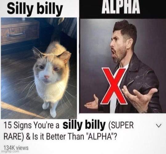 Silly billy dilly dilly spilly | made w/ Imgflip meme maker