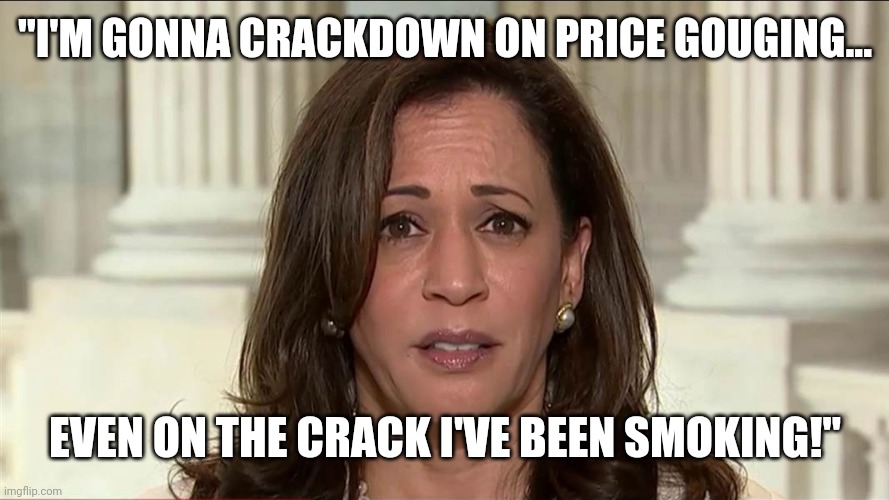 Price Gougin' Kamala | "I'M GONNA CRACKDOWN ON PRICE GOUGING... EVEN ON THE CRACK I'VE BEEN SMOKING!" | image tagged in kamala harris,price,hiking | made w/ Imgflip meme maker