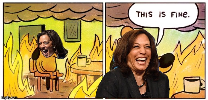 This Is Fine | image tagged in memes,this is fine | made w/ Imgflip meme maker