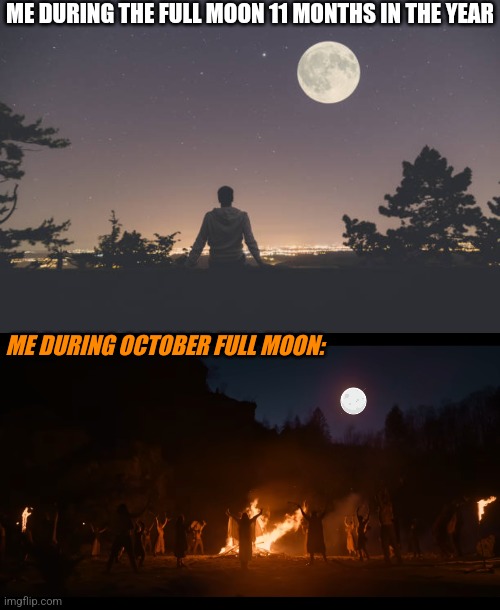 LET FREE YOUR INNER PAGAN | ME DURING THE FULL MOON 11 MONTHS IN THE YEAR; ME DURING OCTOBER FULL MOON: | image tagged in full moon,october,spooktober | made w/ Imgflip meme maker