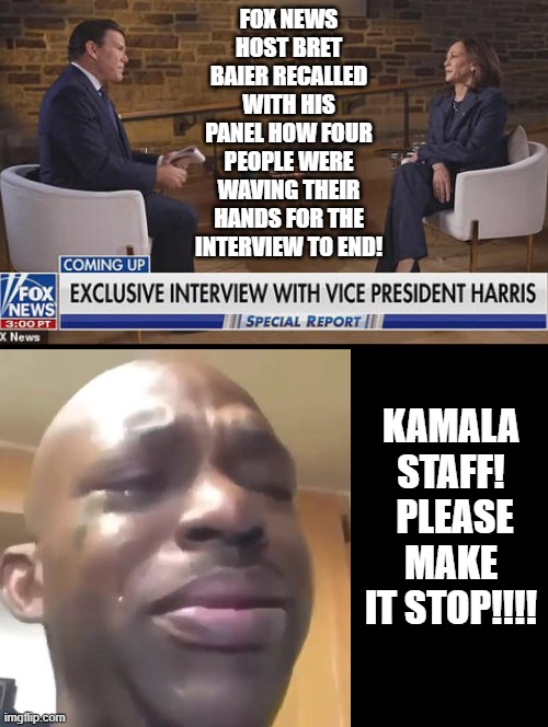 Kamala staffers!! Please make it stop!! | FOX NEWS HOST BRET BAIER RECALLED WITH HIS PANEL HOW FOUR PEOPLE WERE WAVING THEIR HANDS FOR THE INTERVIEW TO END! KAMALA STAFF!  PLEASE MAKE IT STOP!!!! | image tagged in sadness,make it stop | made w/ Imgflip meme maker