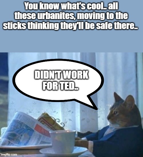 Urbies are Urbies weather in the country or the city. | You know what's cool.. all these urbanites, moving to the sticks thinking they'll be safe there.. DIDN'T WORK FOR TED.. | image tagged in memes,i should buy a boat cat | made w/ Imgflip meme maker