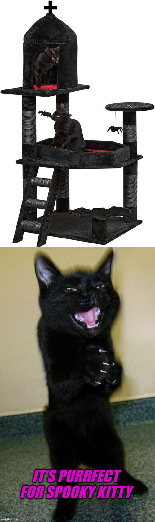 FOR THE FAMILIARS | IT'S PURRFECT FOR SPOOKY KITTY | image tagged in evil cat,cats,black cat,spooky,spooktober | made w/ Imgflip meme maker