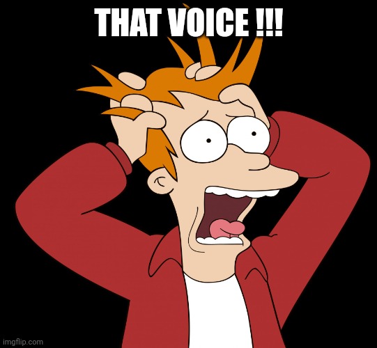 Futurama Fry Screaming | THAT VOICE !!! | image tagged in futurama fry screaming | made w/ Imgflip meme maker