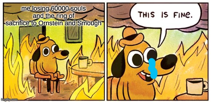 this actually happened to me in dark souls | me losing 60000 souls and the ring of sacrifice to Ornstein and Smough | image tagged in memes,this is fine | made w/ Imgflip meme maker