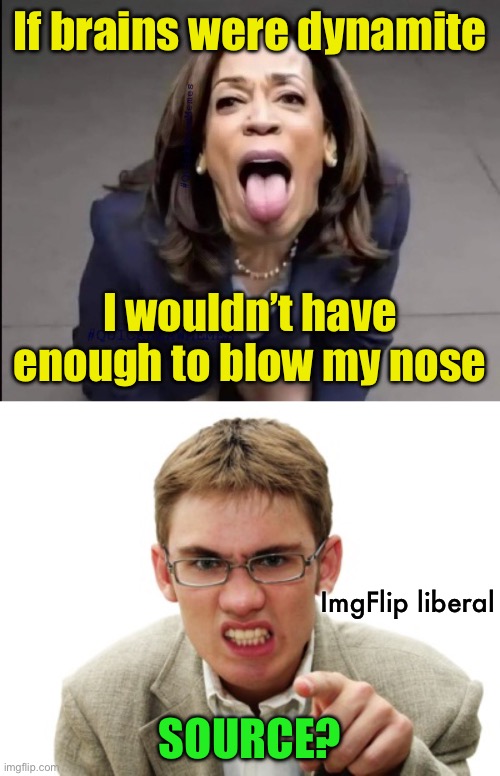 Liberals thinking memes are the same as newspaper headlines | If brains were dynamite; I wouldn’t have enough to blow my nose; ImgFlip liberal; SOURCE? | image tagged in kamala,angry liberal | made w/ Imgflip meme maker