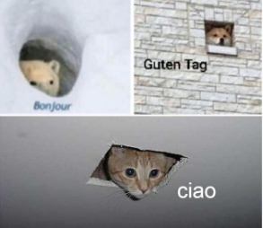 High Quality Bonjour Guten Tag Ciao Blank Meme Template