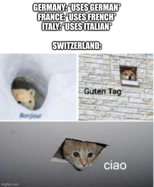 switzerland | GERMANY: *USES GERMAN*
FRANCE: *USES FRENCH*
ITALY: *USES ITALIAN*
 
SWITZERLAND: | image tagged in bonjour guten tag ciao | made w/ Imgflip meme maker