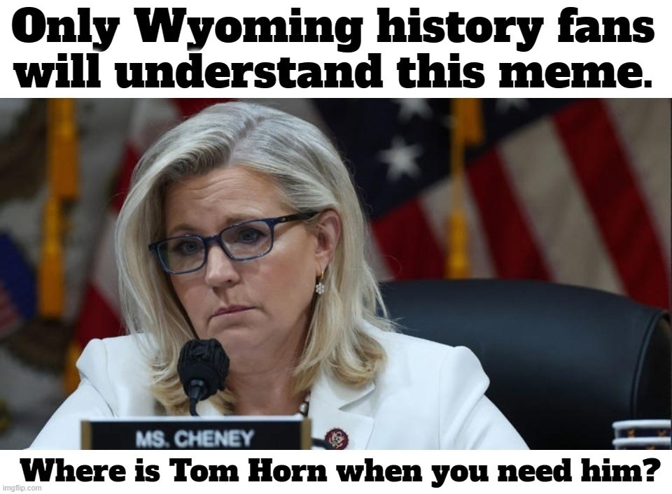 Only Wyoming history fans will understand this meme. | image tagged in wyoming,history memes,history channel,search history,tom horn,liz cheney | made w/ Imgflip meme maker