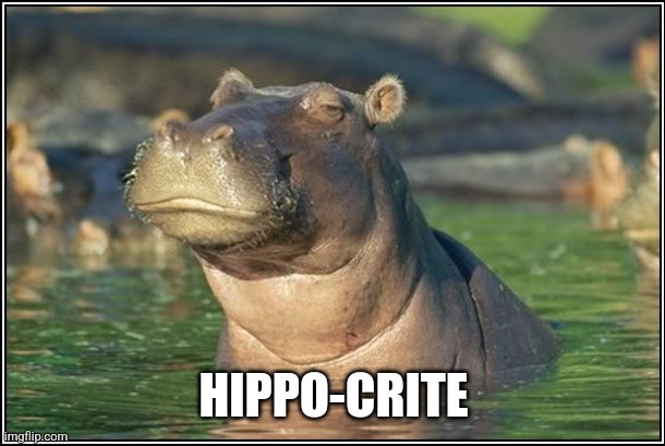 Skeptical Hippo | HIPPO-CRITE | image tagged in skeptical hippo | made w/ Imgflip meme maker