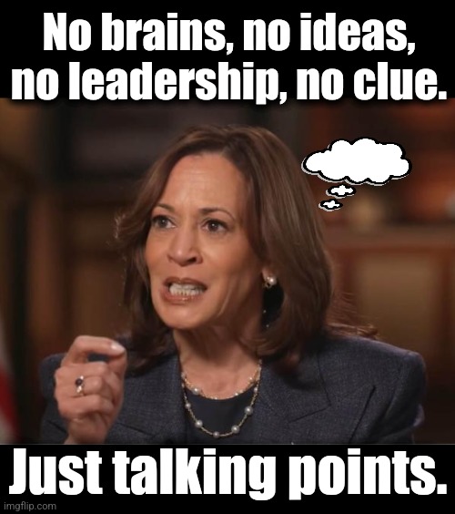 Kamala Harris is an idiot | No brains, no ideas, no leadership, no clue. Just talking points. | image tagged in memes,kamala harris,idiot,talking points,democrats,clueless | made w/ Imgflip meme maker