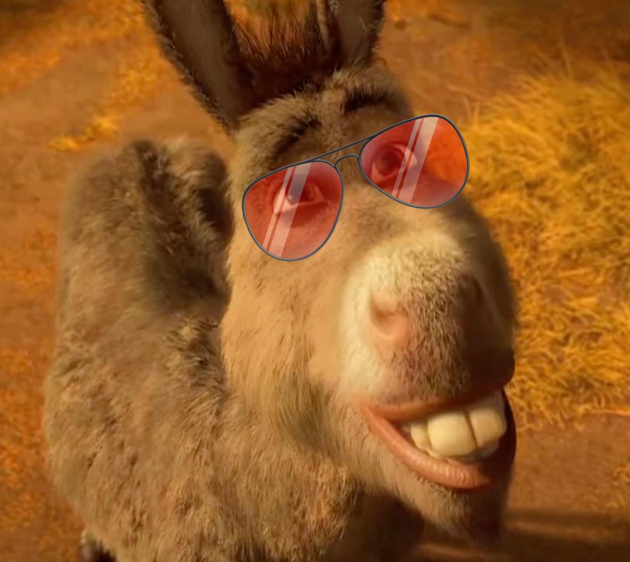 rizz donkey Blank Meme Template