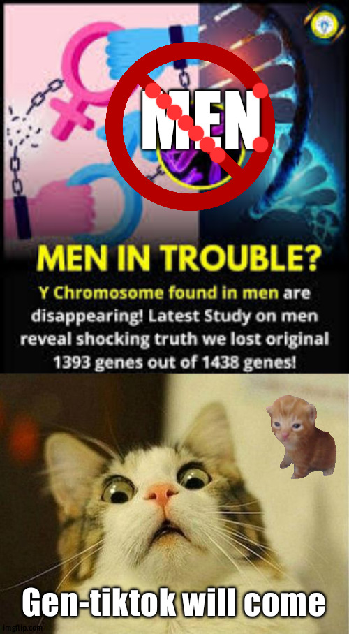 You can see tiktokers every where | MEN; Gen-tiktok will come | image tagged in memes,scared cat | made w/ Imgflip meme maker